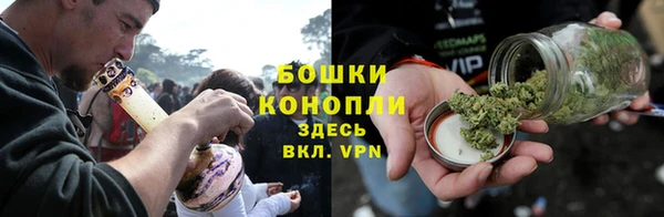 винт Аркадак
