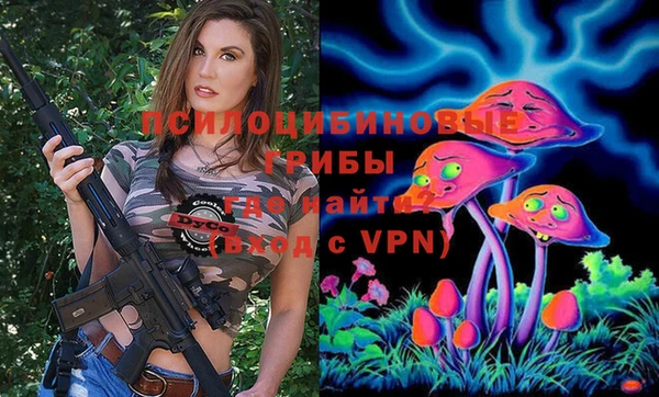первитин Арсеньев