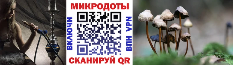Псилоцибиновые грибы Psilocybe  купить наркотик  ОМГ ОМГ ссылки  Байкальск 